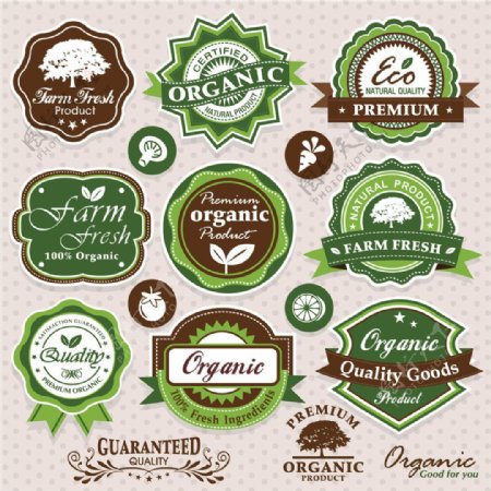 绿色质量食品标签图片