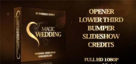 梦幻魔法婚礼包装动画AE模板