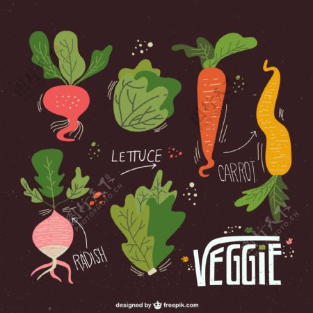 6款彩绘蔬菜设计矢量图