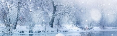 飘雪的树1920雪景背景素材105