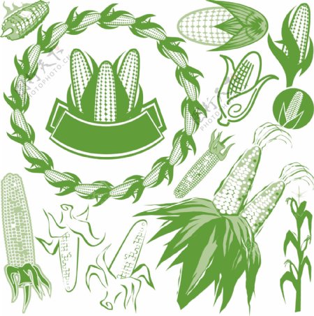 玉米食品标志图片