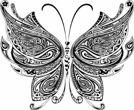 素描画的蝴蝶