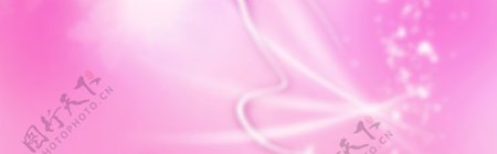 粉色线条背景banner