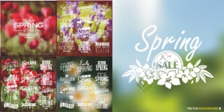 英文文字组合与春天花朵