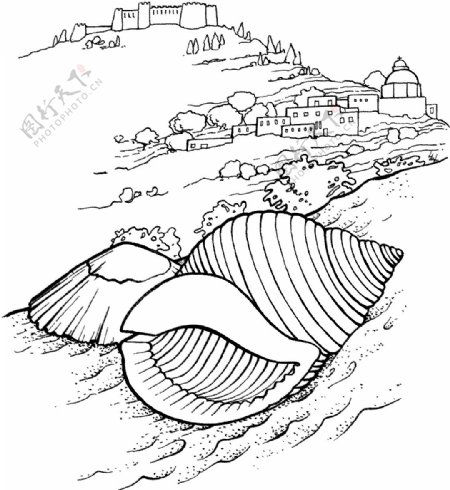 海贝海螺028