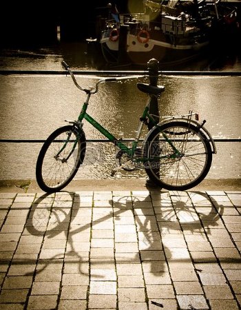 阳光下的自行车
