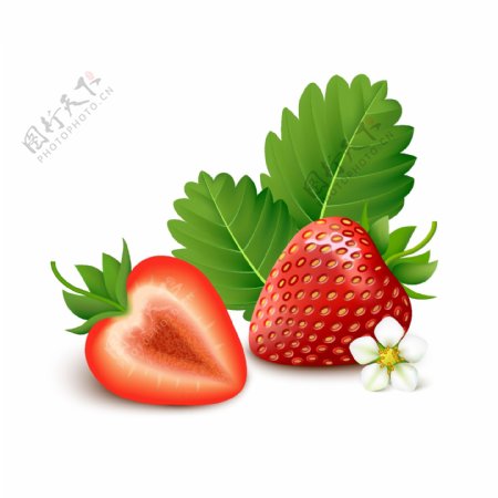 红红诱人的水果草莓插画