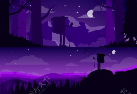 森林里美丽的夜景插画