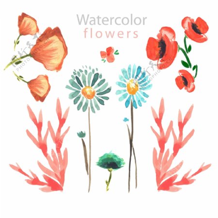 7款水彩绘花卉设计矢量素材