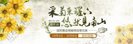 国庆旅游菊花展花朵赏菊淘宝电商海报banner