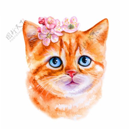 水彩手绘猫咪插画
