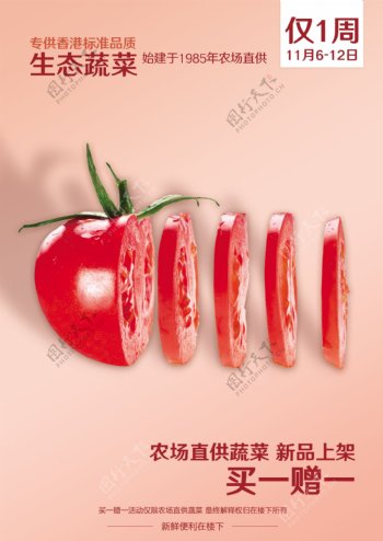 生态西红柿海报