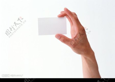 手手的表情手势手的姿势卡片