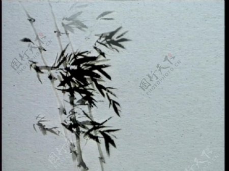 中国风淡雅竹林水墨视频素材