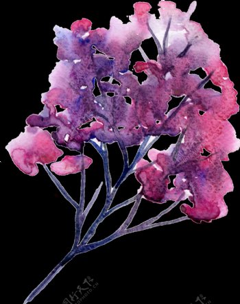 紫色水墨植物png透明素材
