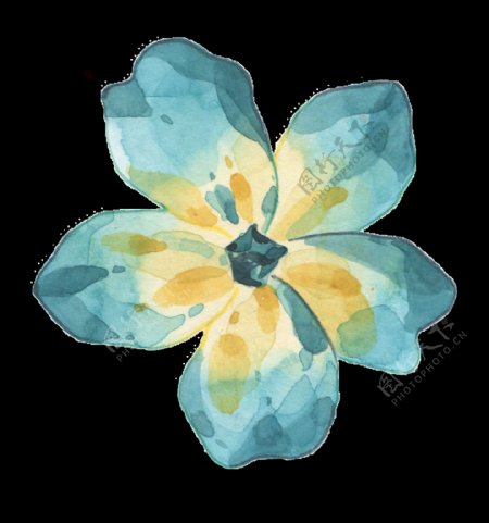 蓝黄色鲜花透明装饰图案