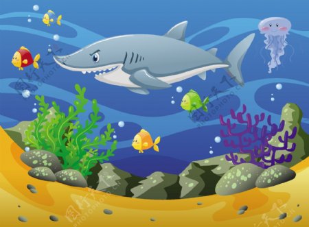 水下鲨鱼和其他海洋动物