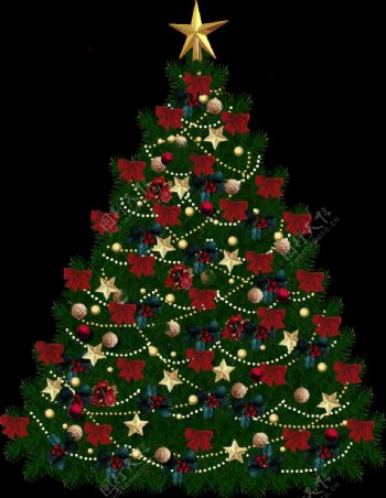 枞树圣诞树免抠png透明图层素材