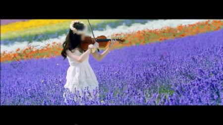 美女小提琴风景人物素材
