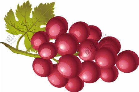 紫红色的葡萄png元素素材