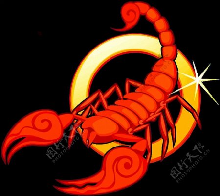红色蝎子图片免抠png透明素材