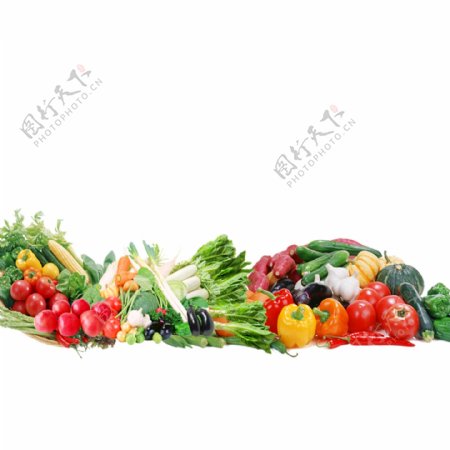 蔬菜合集