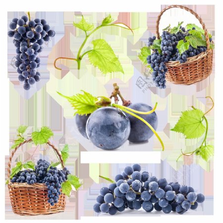 小清新葡萄水果元素