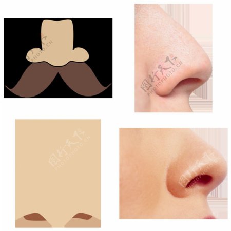 人的鼻子免抠png透明图层素材
