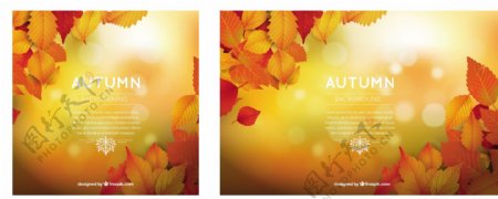 秋天的背景与平面设计和温暖的颜色