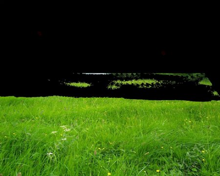 绿色成片草地免抠png透明图层素材