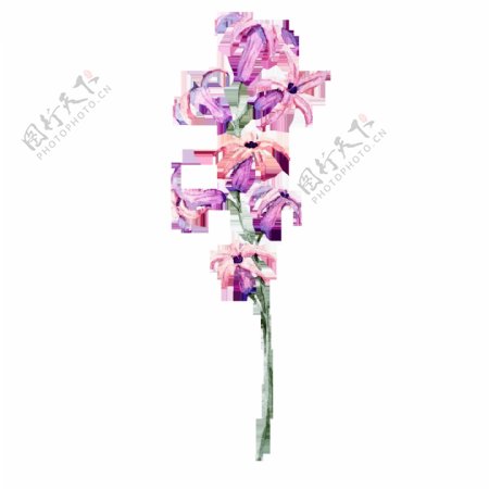 紫色喇叭花卡通透明素材