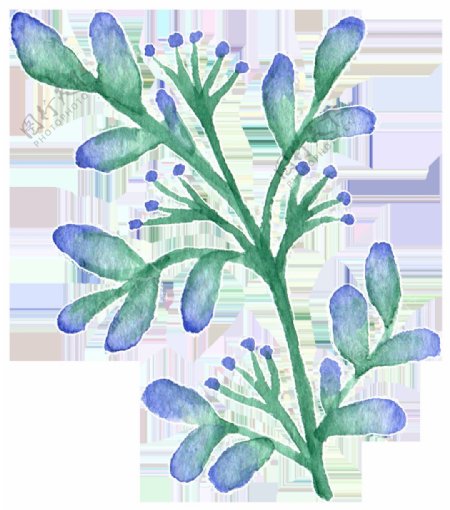 紫色妖娆植物卡通透明装饰素材