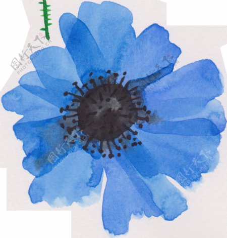 蓝色水墨渐变花卉卡通透明素材