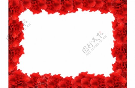 红色玫瑰花卉边框免抠psd透明素材