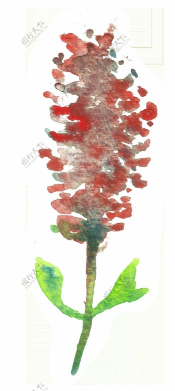 红色水墨点缀花卉卡通水彩透明素材