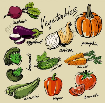 手绘水果和蔬菜插画