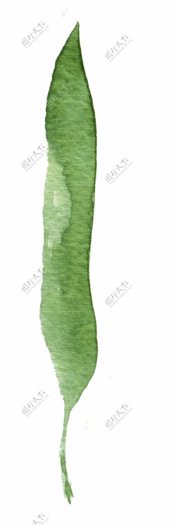 扁绿豌豆卡通透明素材