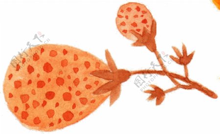 橙斑花蕊卡通透明素材