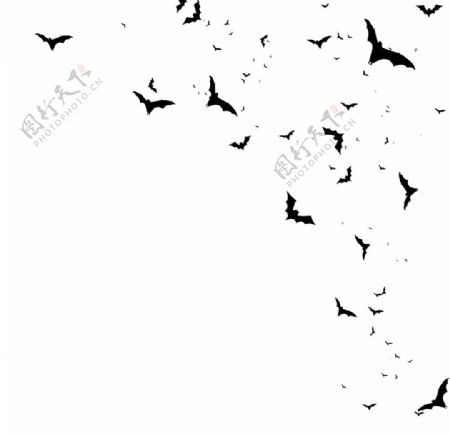蝙蝠矢量图