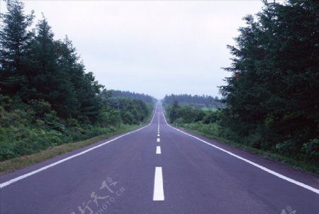 道路风景