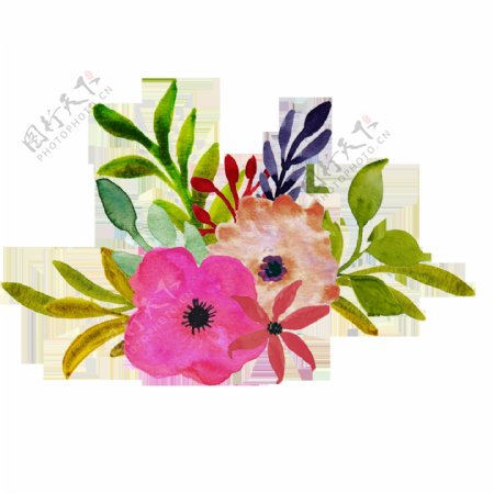 水墨艺术绘画植物花朵透明装饰素材