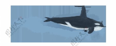 黑色硕大鲸鱼png元素