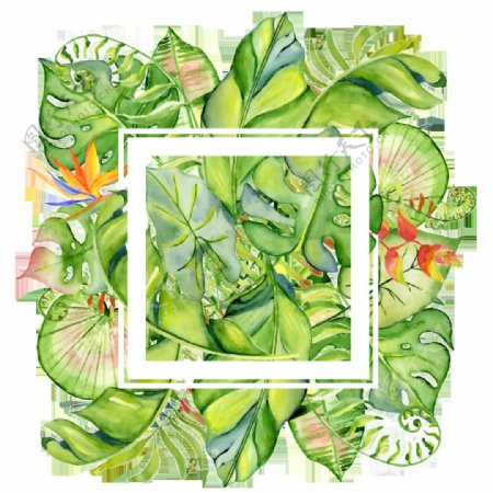 手绘热带叶子框png透明素材