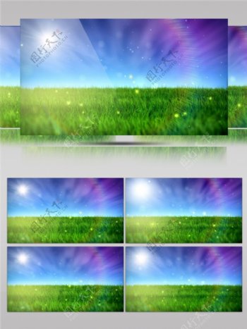 紫色光束草原视频素材