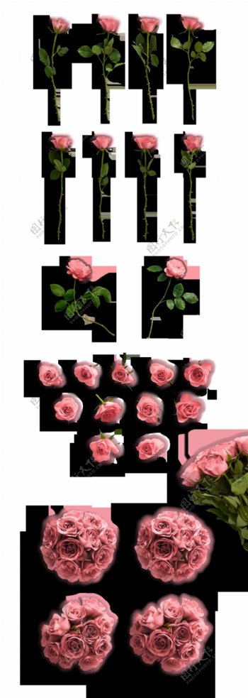 创意玫瑰产品图透明装饰素材