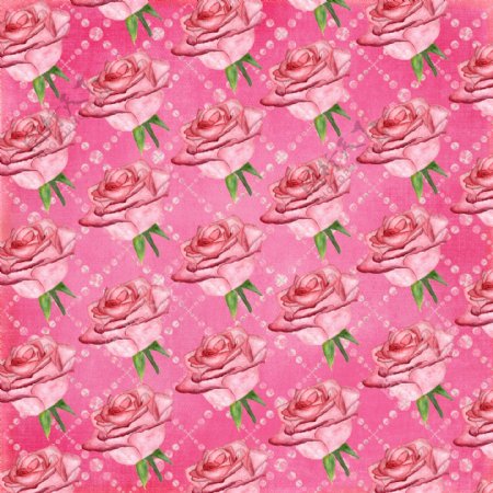 美丽粉红玫瑰花粉色情人节背景
