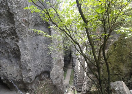 云南石林石头