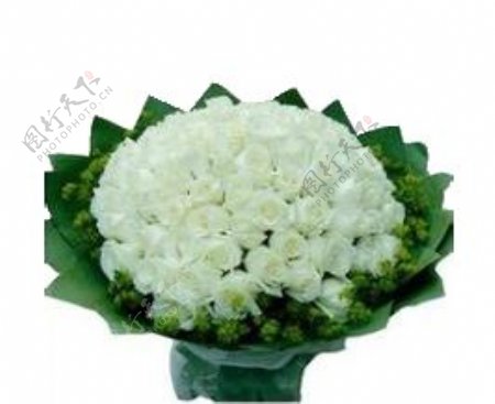 清新淡雅白色花朵花束实物元素