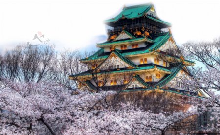 灰粉色浪漫樱花日本旅游装饰元素