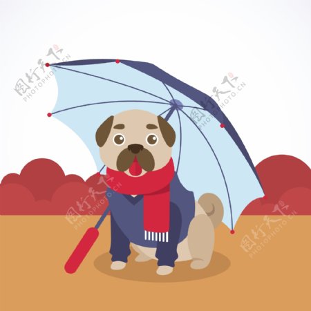 撑雨伞的卡通可爱的狗